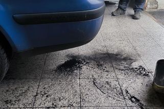 Na STK každý rok? Senát odmítl návrh Evropské komise - Novinky